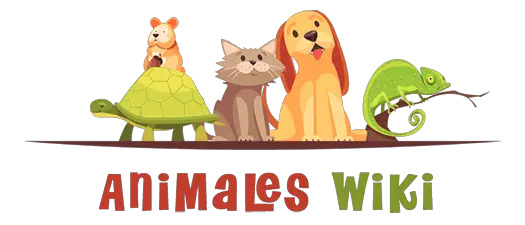 Animales Wiki